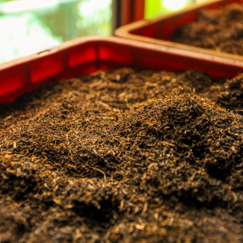 istockphoto-1004104900-2048x2048-transformed (1)