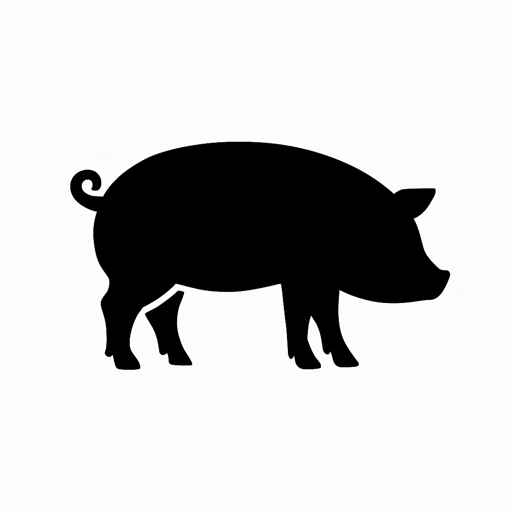 swine